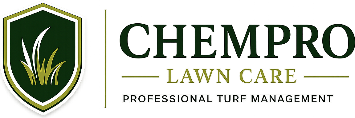 signature logo design